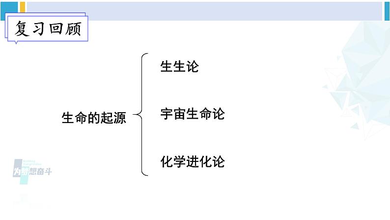 北师大版八年级生物下册 第7单元 生命的演化 章末复习（课件） (1)02