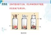 北师大版八年级生物下册 第7单元 生命的演化 章末复习（课件） (1)