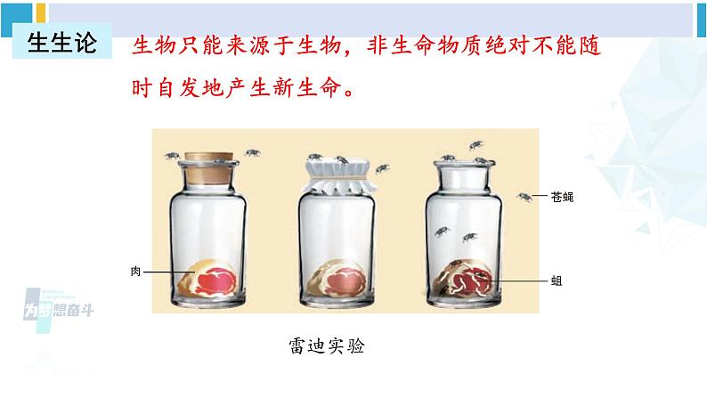 北师大版八年级生物下册 第7单元 生命的演化 章末复习（课件） (1)03