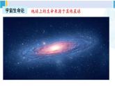 北师大版八年级生物下册 第7单元 生命的演化 章末复习（课件） (1)