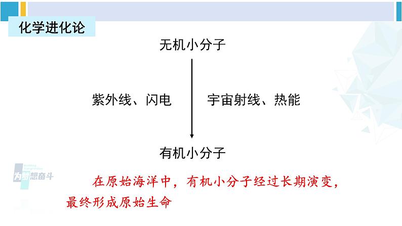 北师大版八年级生物下册 第7单元 生命的演化 章末复习（课件） (1)07