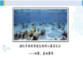 北师大版八年级生物下册 第7单元 生命的演化 第1课时 生物进化的证据和历程（课件）