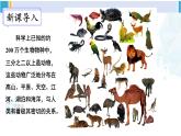 北师大版八年级生物下册 第7单元 生命的演化 第1课时 腔肠动物、扁形动物、线虫动物、软体动物（课件）