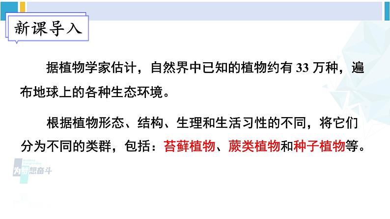 北师大版八年级生物下册 第7单元 生命的演化 第1课时 苔藓植物和蕨类植物（课件）第1页