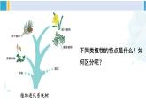 北师大版八年级生物下册 第7单元 生命的演化 第1课时 苔藓植物和蕨类植物（课件）
