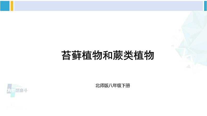 北师大版八年级生物下册 第7单元 生命的演化 第1课时 苔藓植物和蕨类植物（课件）第3页