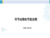 北师大版八年级生物下册 第7单元 生命的演化 第2课时 环节动物和节肢动物（课件）