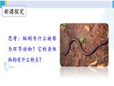 北师大版八年级生物下册 第7单元 生命的演化 第2课时 环节动物和节肢动物（课件）