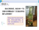 北师大版八年级生物下册 第8单元 生物与环境 第4节 生态系统的稳定性（课件）