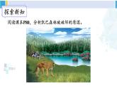 北师大版八年级生物下册 第8单元 生物与环境 第4节 生态系统的稳定性（课件）