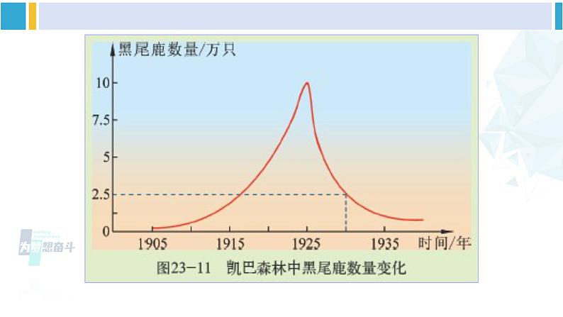 北师大版八年级生物下册 第8单元 生物与环境 第4节 生态系统的稳定性（课件）06