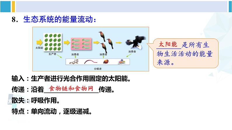 北师大版八年级生物下册 第8单元 生物与环境 本章小结（课件） (1)06