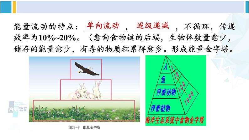 北师大版八年级生物下册 第8单元 生物与环境 本章小结（课件） (1)07