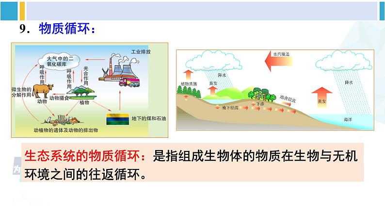 北师大版八年级生物下册 第8单元 生物与环境 本章小结（课件） (1)08