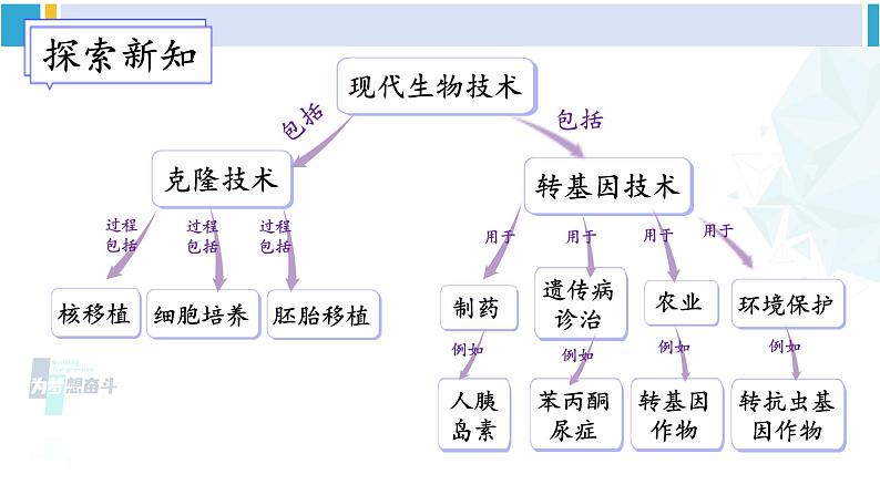 北师大版八年级生物下册 第9单元 生物技术 第2节 现代生物技术（课件）第6页