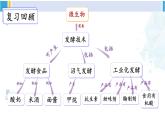 北师大版八年级生物下册 第9单元 生物技术 章末小结（课件）