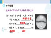 北师大版八年级生物下册 第9单元 生物技术 章末小结（课件）