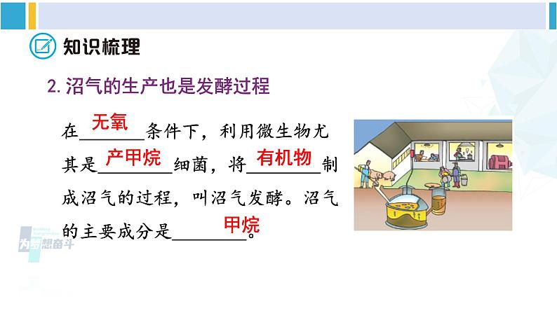 北师大版八年级生物下册 第9单元 生物技术 章末小结（课件）06