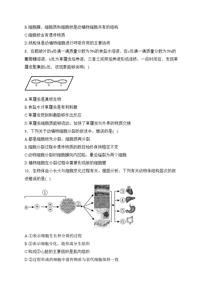 四川省广安市邻水县2023-2024学年七年级上学期期末质量监测生物试卷(含答案)02