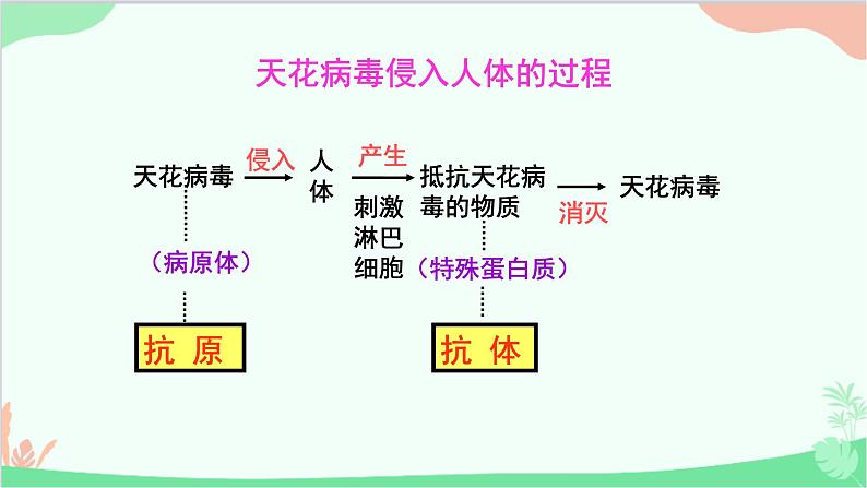 冀少版生物七年级下册 6.1.2 特异性免疫课件第8页