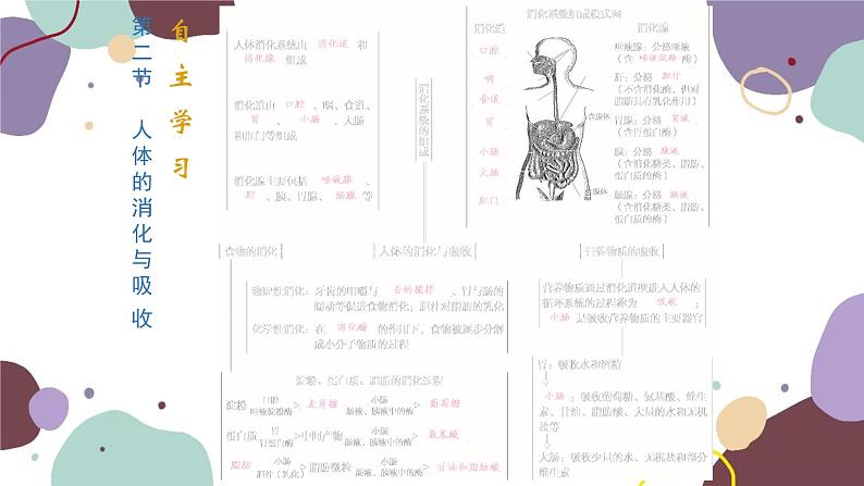 苏教版生物七年级下册第九章 人的食物来自环境课件02