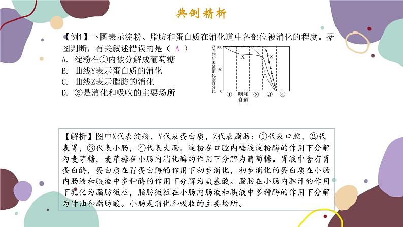 苏教版生物七年级下册第九章 人的食物来自环境课件03