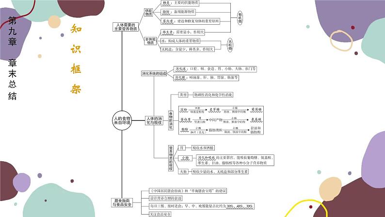 苏教版生物七年级下册第九章 人的食物来自环境课件02