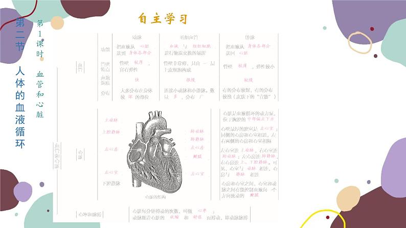 苏教版生物七年级下册第十章 人体内的物质运输和能量供给课件02