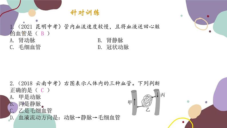 苏教版生物七年级下册第十章 人体内的物质运输和能量供给课件05