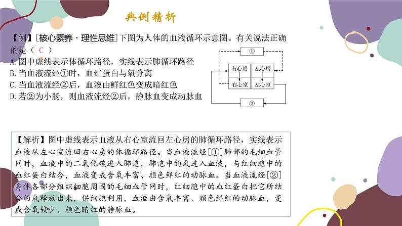 苏教版生物七年级下册第十章 人体内的物质运输和能量供给课件03