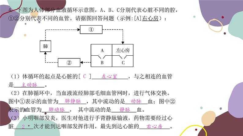 苏教版生物七年级下册第十章 人体内的物质运输和能量供给课件05