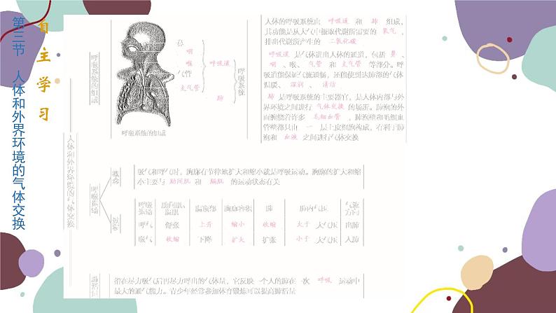 苏教版生物七年级下册第十章 人体内的物质运输和能量供给课件02