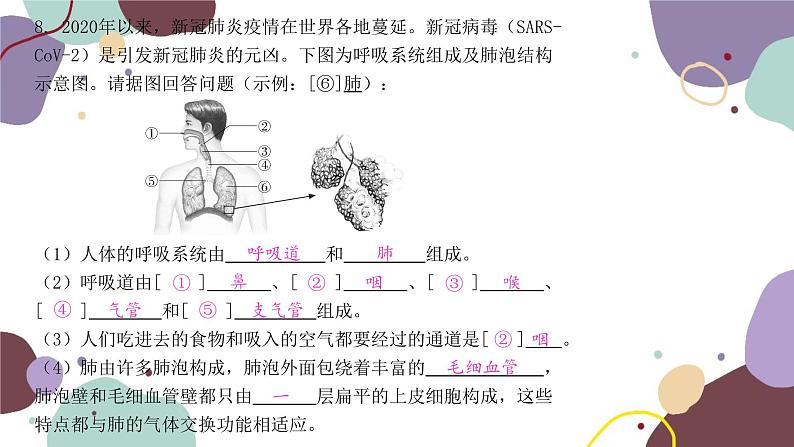 苏教版生物七年级下册第十章 人体内的物质运输和能量供给课件07