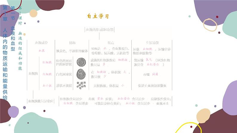 苏教版生物七年级下册第十章 人体内的物质运输和能量供给课件02