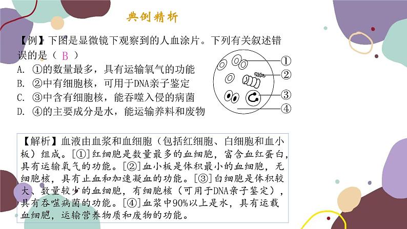 苏教版生物七年级下册第十章 人体内的物质运输和能量供给课件03