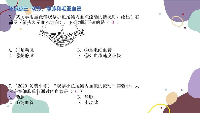 苏教版生物七年级下册第十章 人体内的物质运输和能量供给课件05