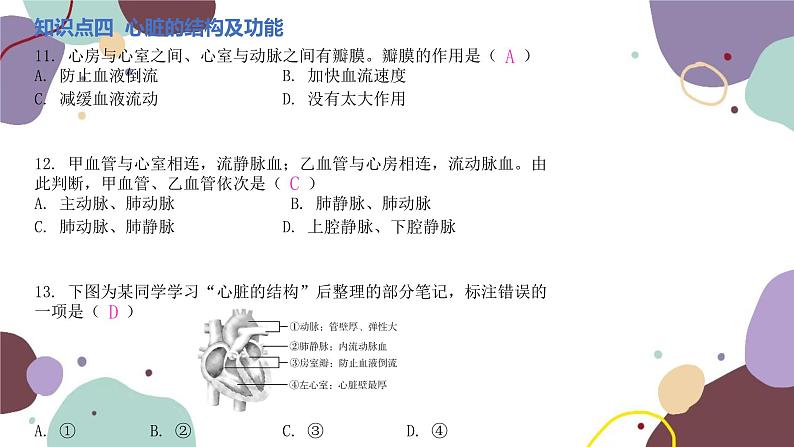 苏教版生物七年级下册第十章 人体内的物质运输和能量供给课件07