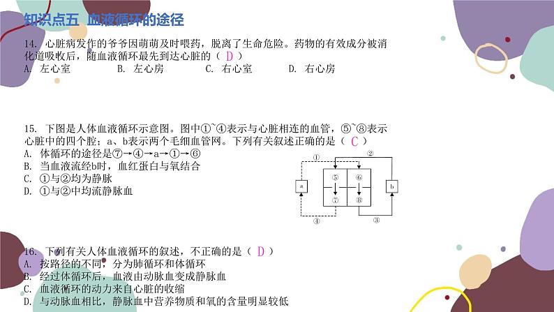 苏教版生物七年级下册第十章 人体内的物质运输和能量供给课件08