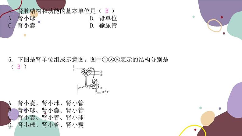 4.11.1 人体泌尿系统的组成第5页