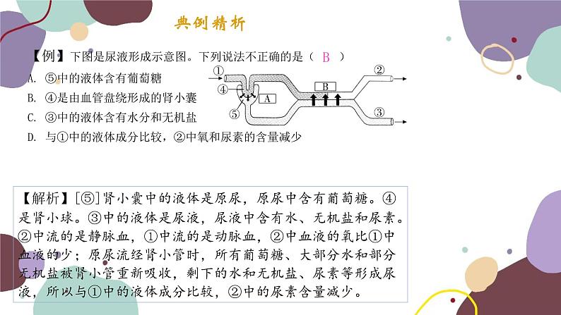 4.11.2 人体废物的排出第3页