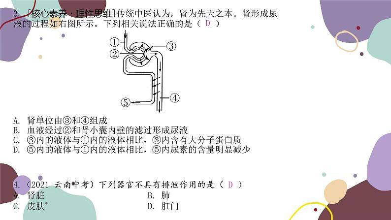 4.11.2 人体废物的排出第5页