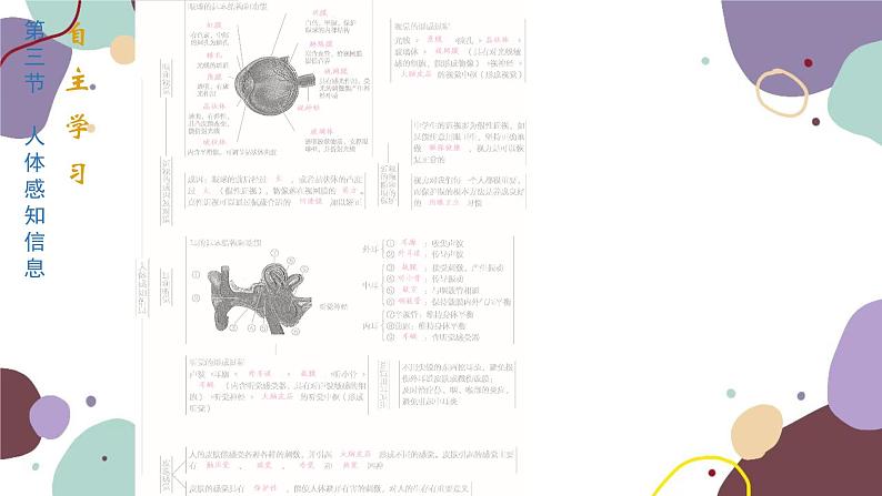 4.12.3 人体感知信息第2页