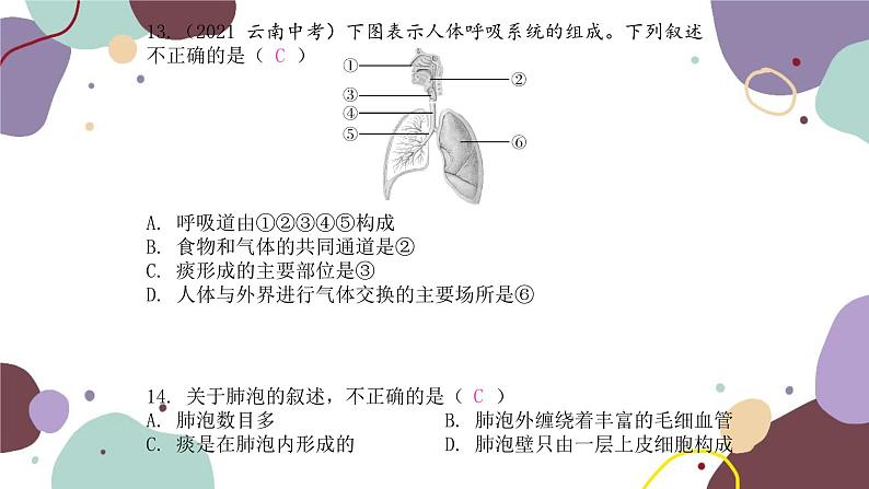 苏教版生物七年级下册第4单元 单元知识集中训练课件第7页