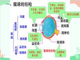 冀少版生物七年级下册 4.1.1 视觉课件