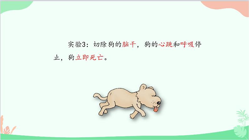 冀少版生物七年级下册 4.3.2 条件反射课件08