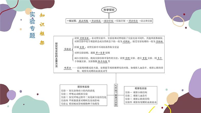 苏教版生物七年级下册实验专题课件02