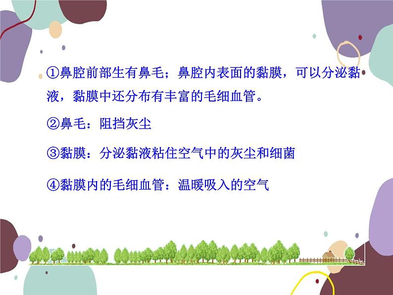 苏教版生物七年级下册第十章 人体和外界环境的气体交换课件06