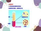 苏教版生物七年级下册第十章 血液和血型 第一课时课件