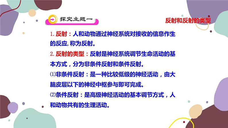 苏教版生物七年级下册第十二章 人体的神经调节 第二课时课件第4页