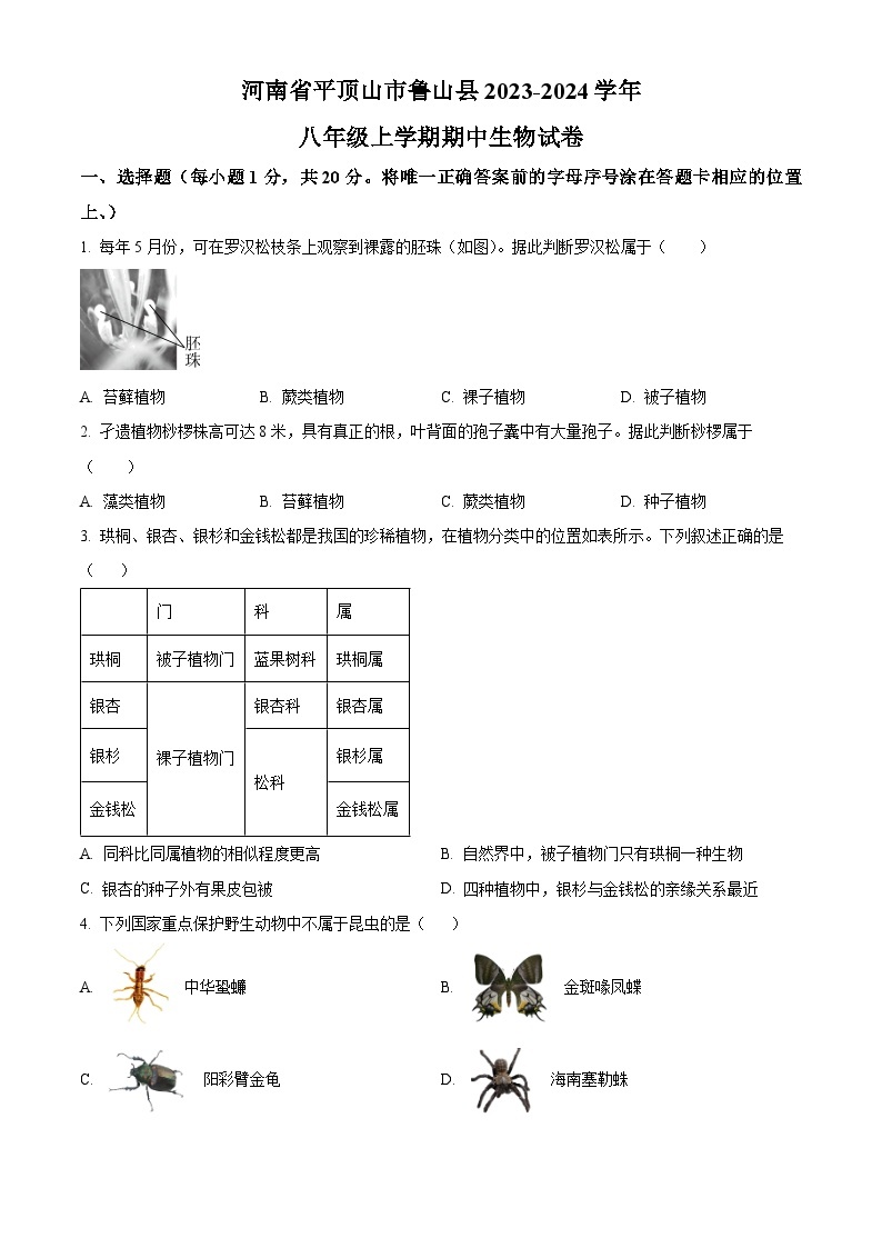 河南省平顶山市鲁山县2023-2024学年八年级上学期期中生物试题（原卷版+解析版）01